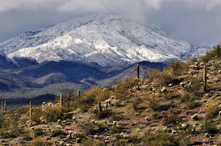snow-capped mtns